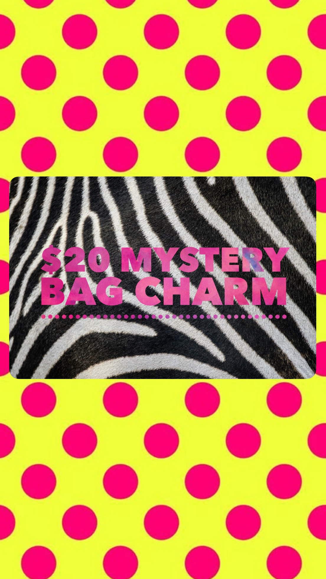 Mystery Bag Charm