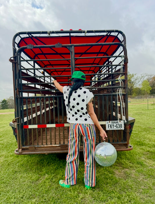 Loca Stripe Denim Pants