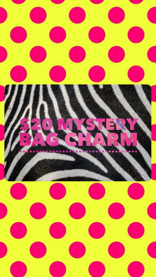 Mystery Bag Charm
